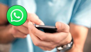 WhatsApp logo modalità colibrì